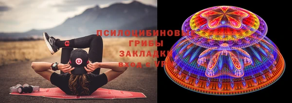 дживик Аркадак